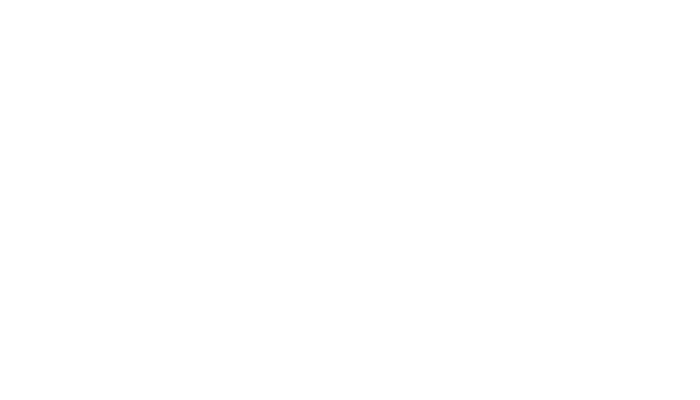 Avioneta logo